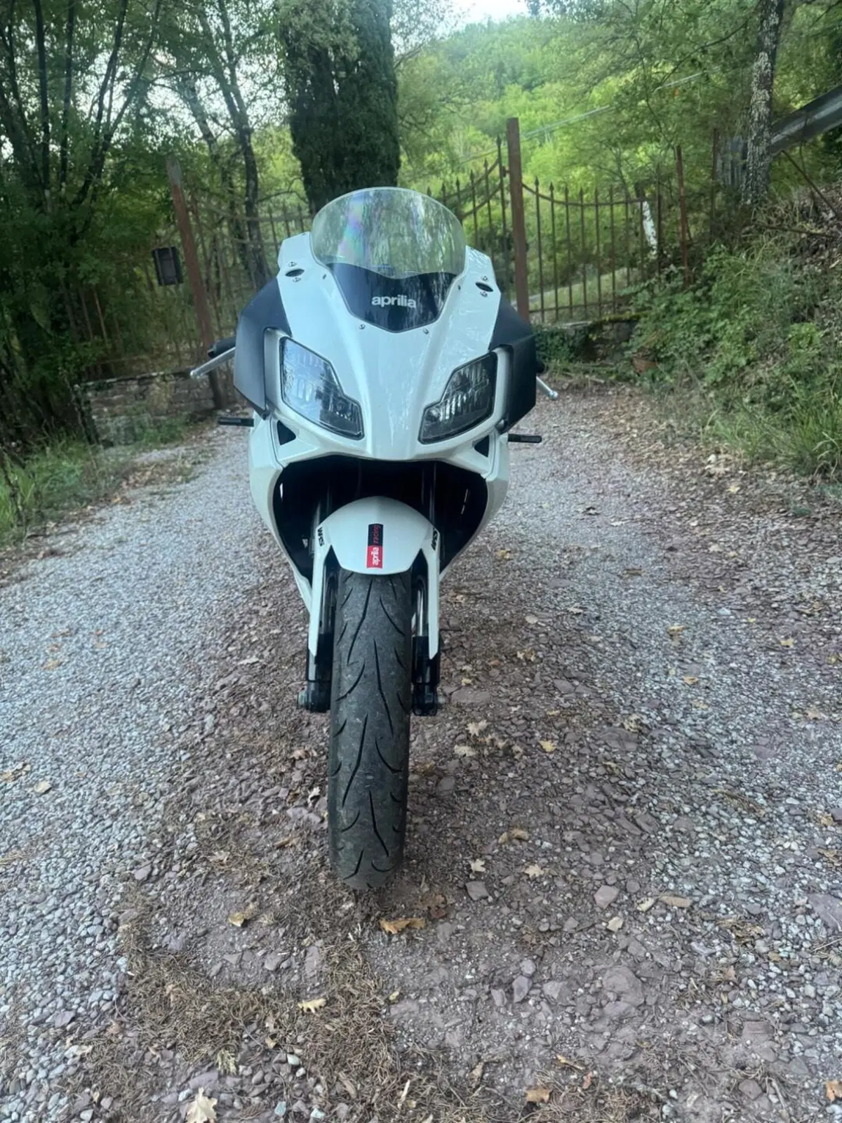 Aprilia RS 125 (2006 - 14)