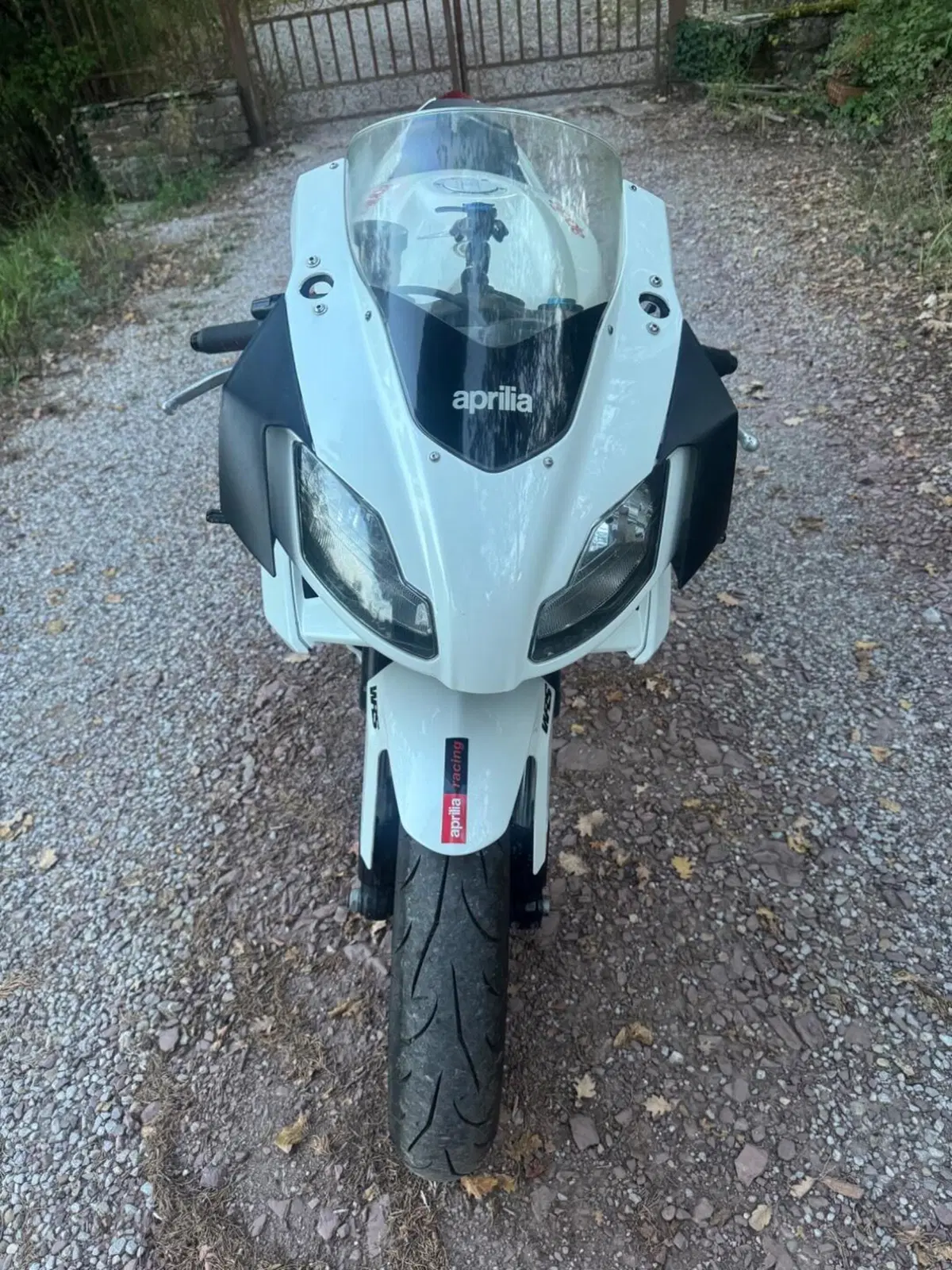 Aprilia RS 125 (2006 - 14) (2)