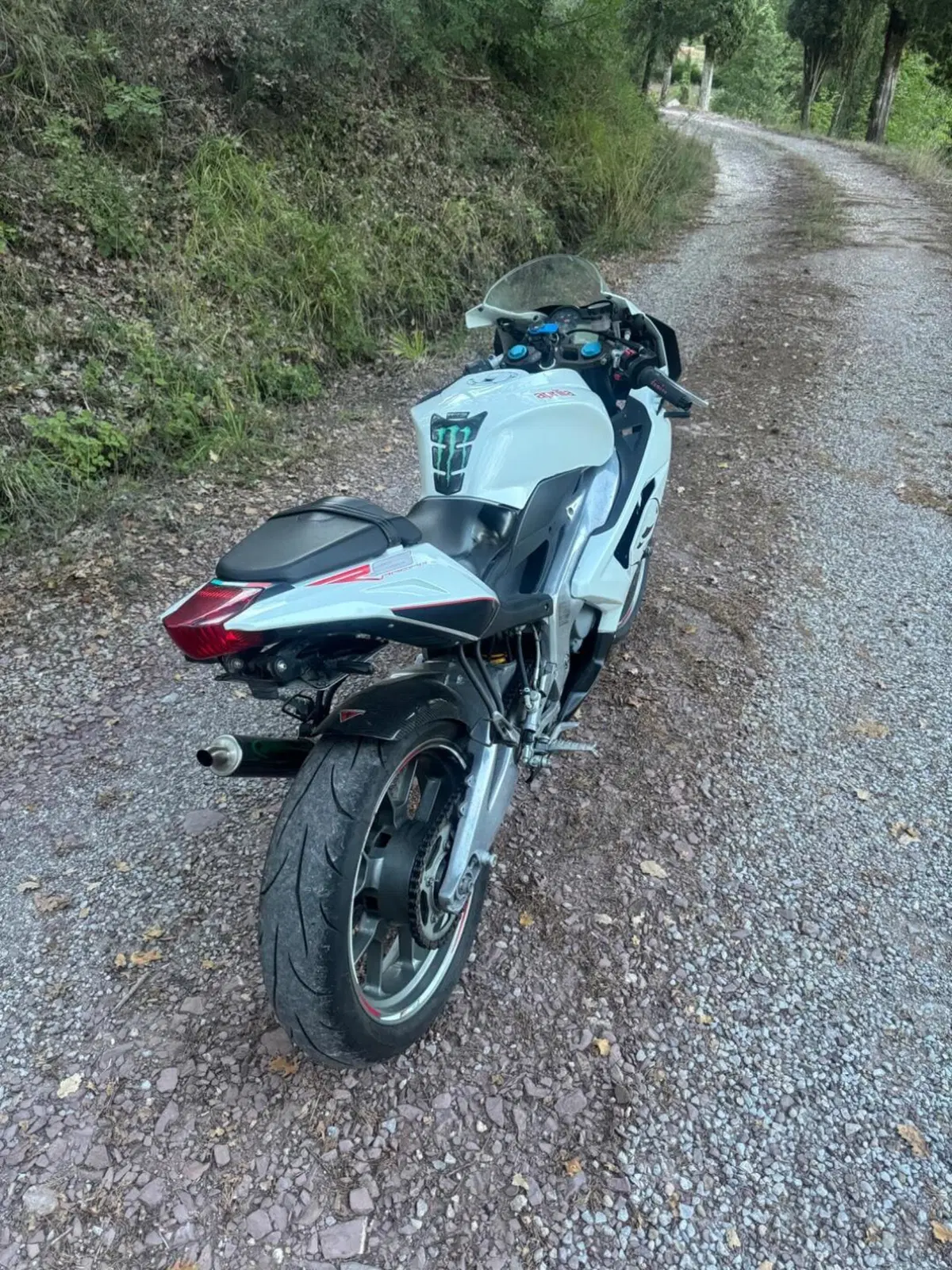 Aprilia RS 125 (2006 - 14) (3)
