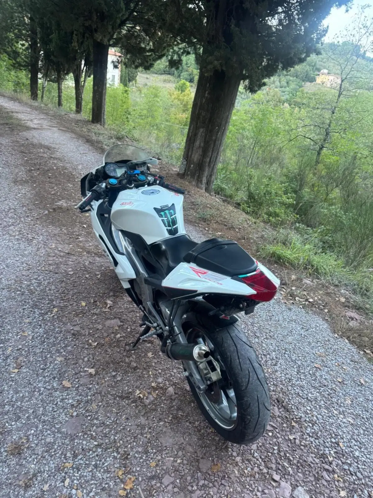 Aprilia RS 125 (2006 - 14) (4)