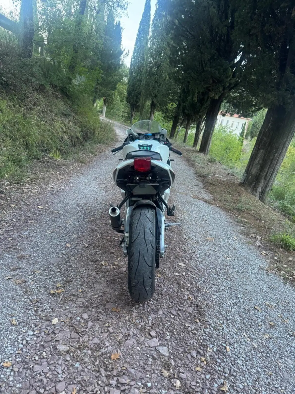 Aprilia RS 125 (2006 - 14) (5)