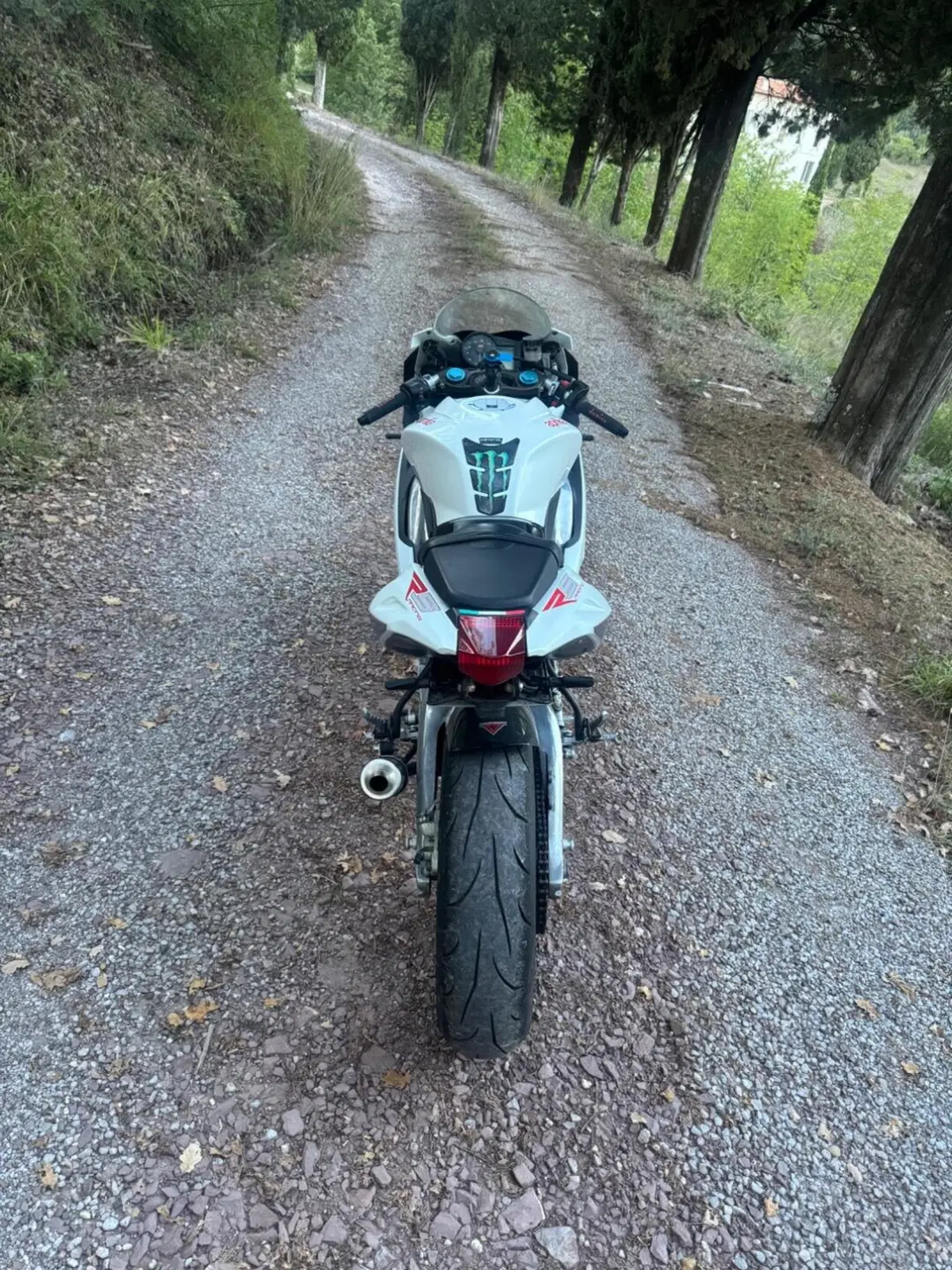 Aprilia RS 125 (2006 - 14) (6)