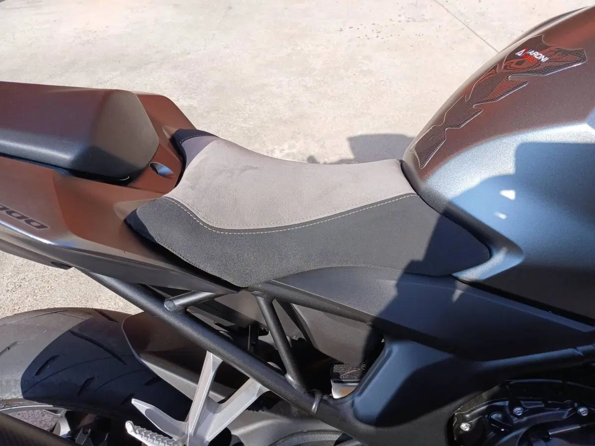 Honda CB 1000 Hornet (2025 - 26) (2)