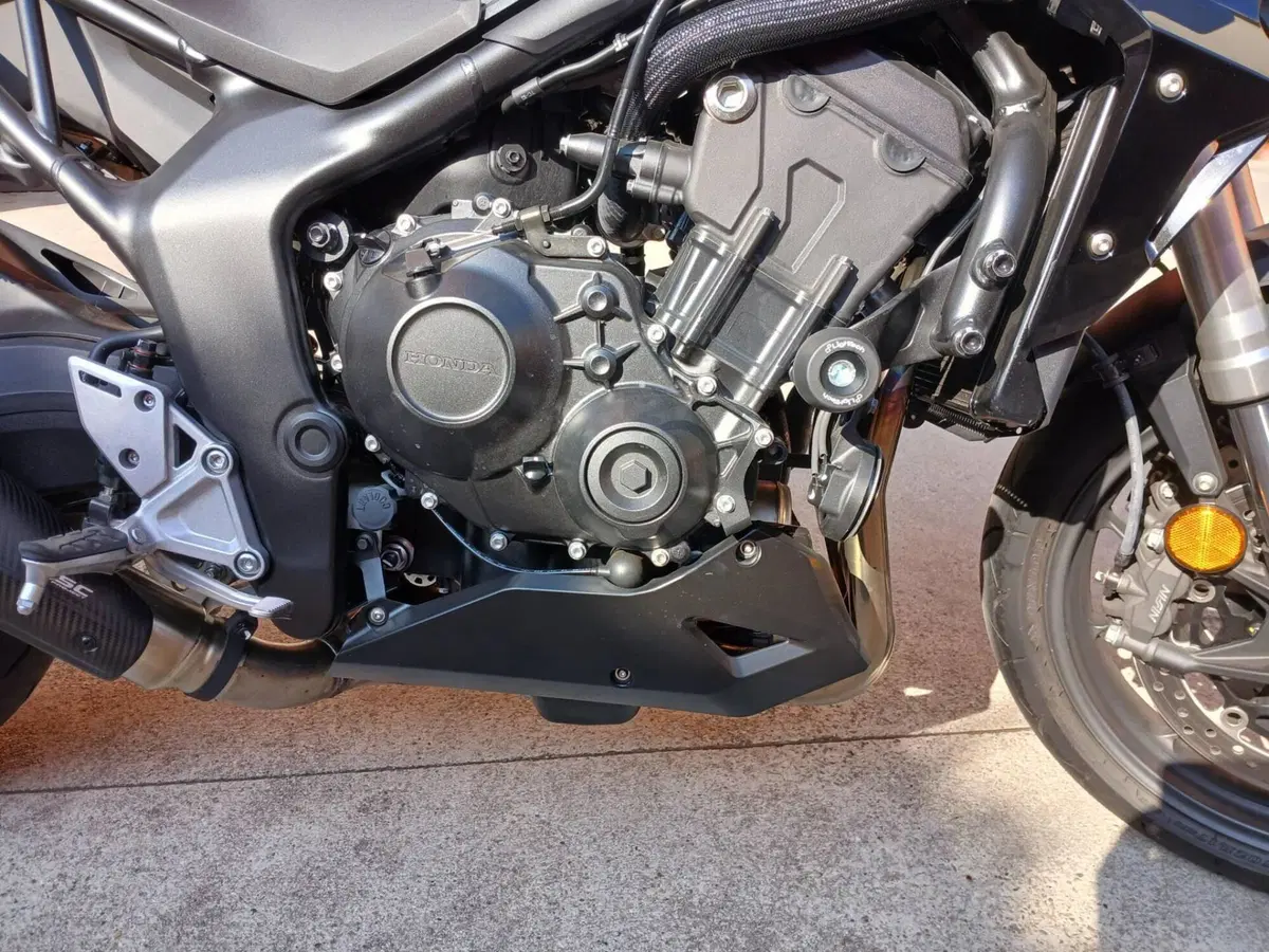 Honda CB 1000 Hornet (2025 - 26) (6)