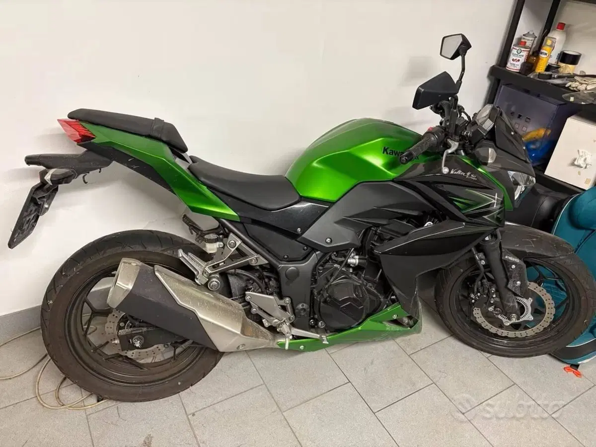 Kawasaki Z 300 ABS (2015 - 16) (2)