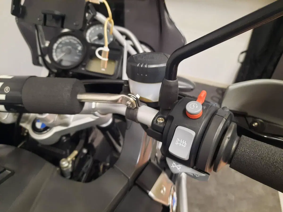 Bmw R 1200 GS (2008 - 09) (7)