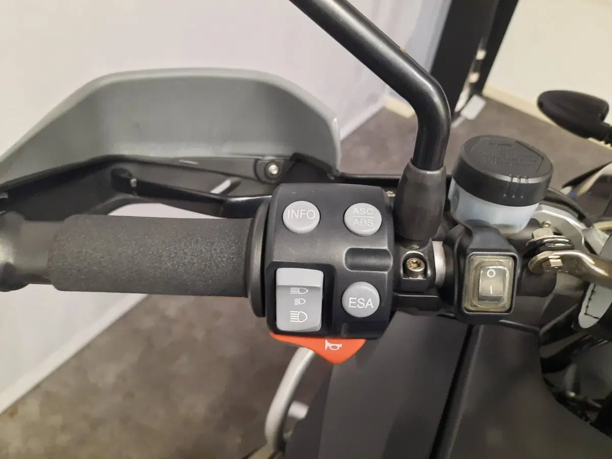 Bmw R 1200 GS (2008 - 09) (8)