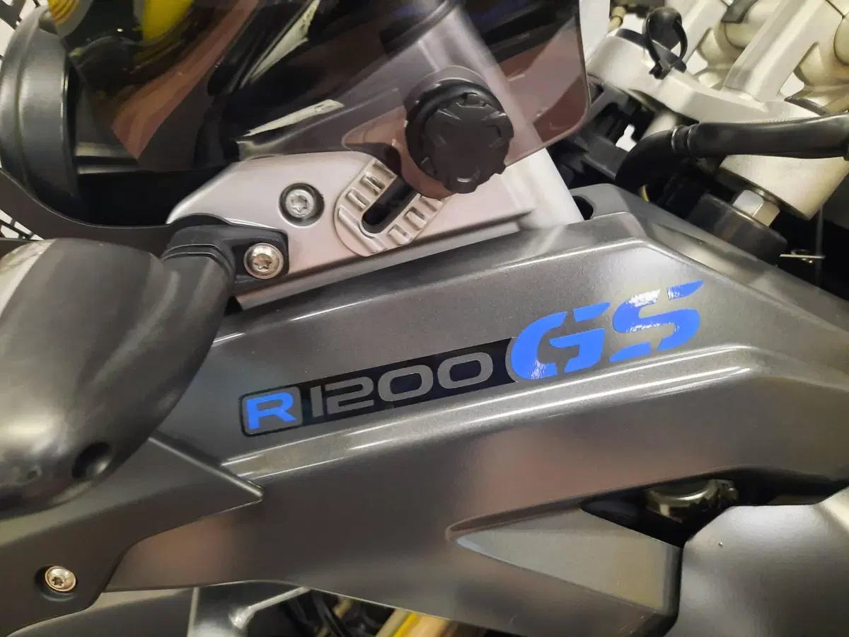 Bmw R 1200 GS (2008 - 09) (18)