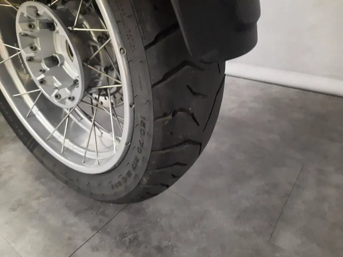 Bmw R 1200 GS (2008 - 09) (19)