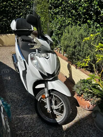 Honda SH 300 i ABS (2016 - 20) usata