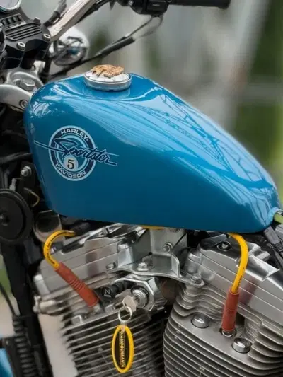 Harley-Davidson XLH 883 d'epoca