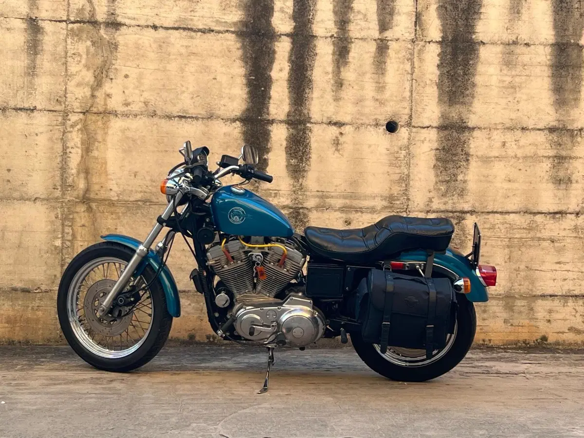 Harley-Davidson XLH 883 (10)