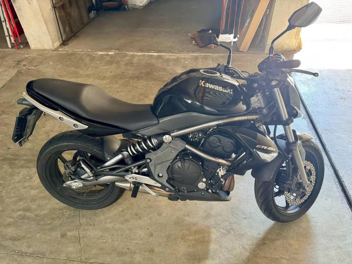 Kawasaki ER-6N (2009 - 11) (13)