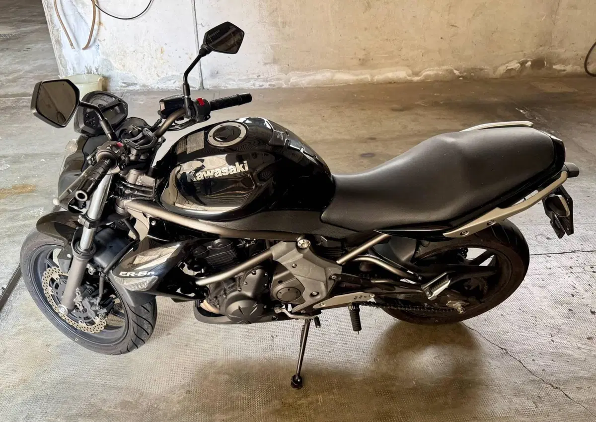 Kawasaki ER-6N (2009 - 11) (15)