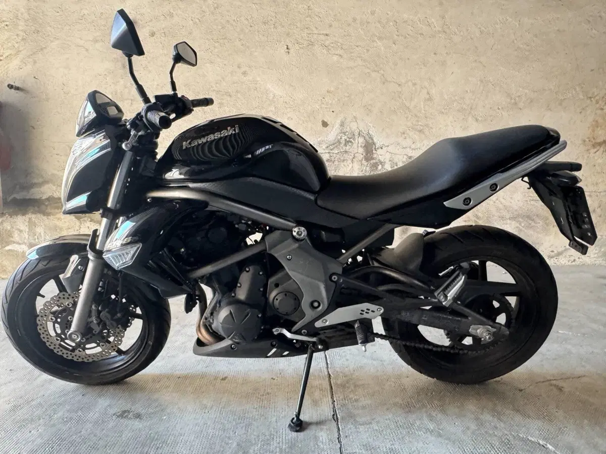 Kawasaki ER-6N (2009 - 11) (2)