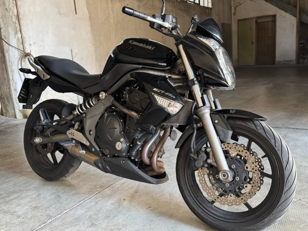 Kawasaki ER-6N (2009 - 11) (5)
