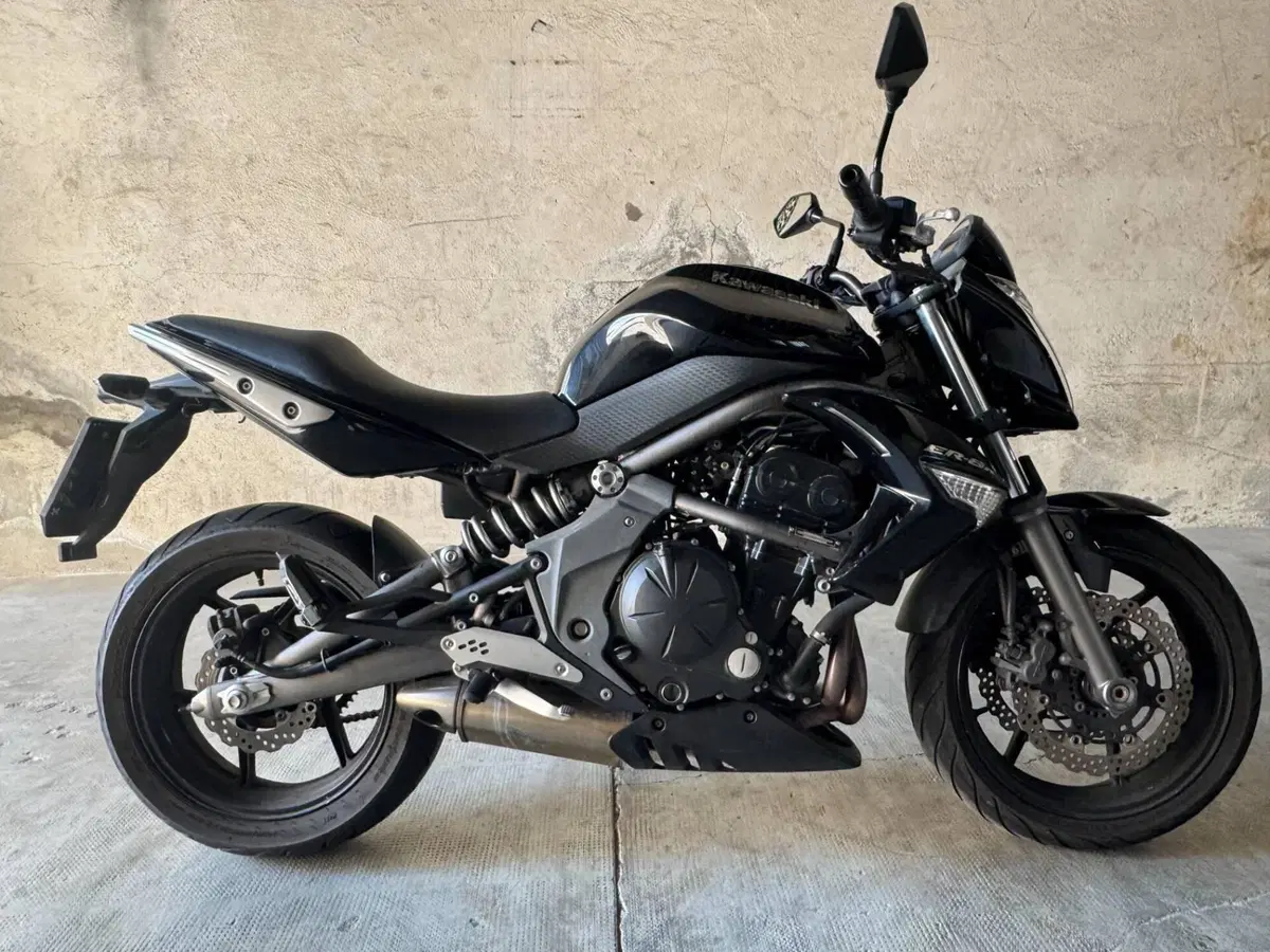 Kawasaki ER-6N (2009 - 11) (3)