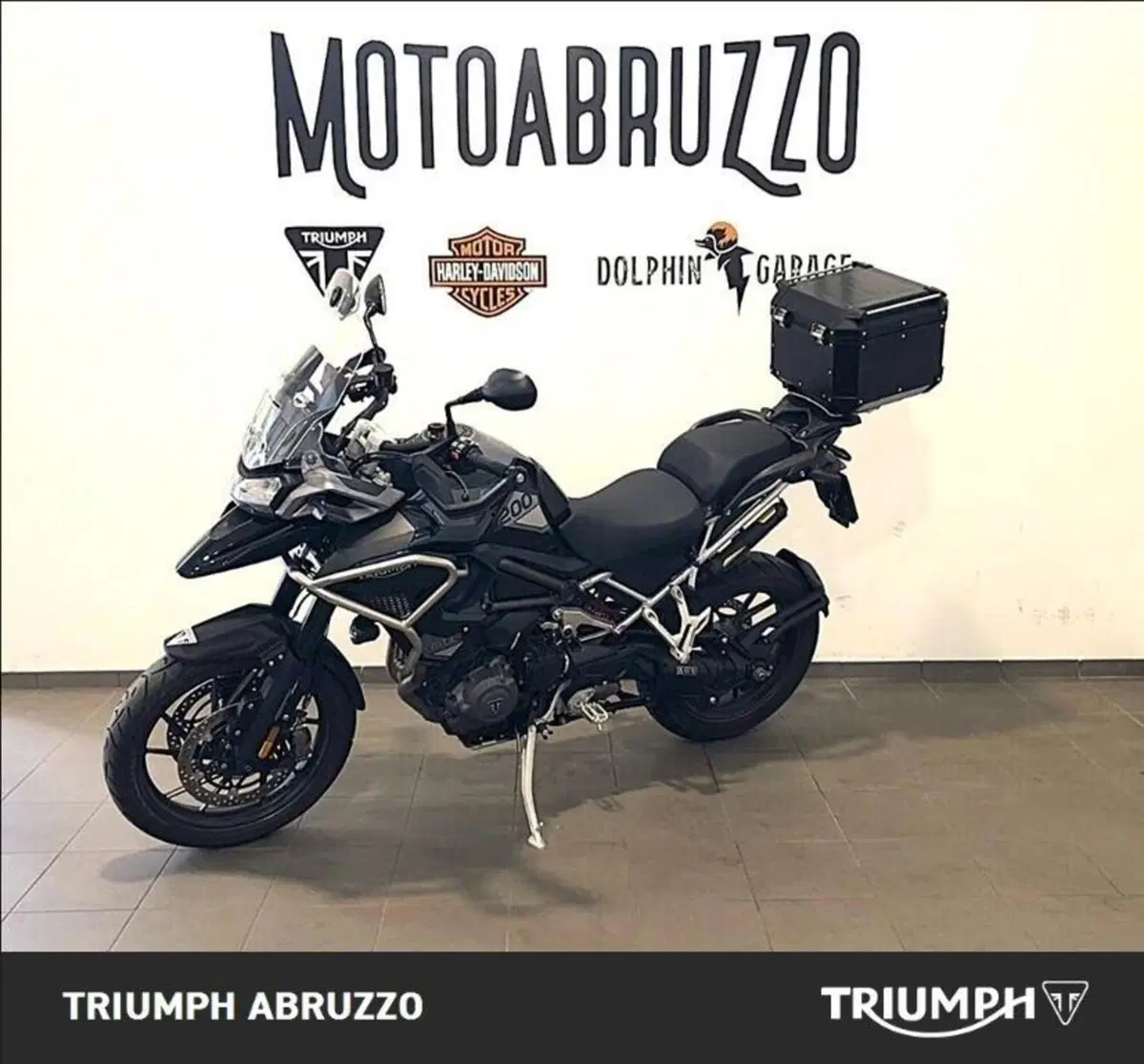 Triumph Tiger 1200 GT Pro (2024 - 26) (2)