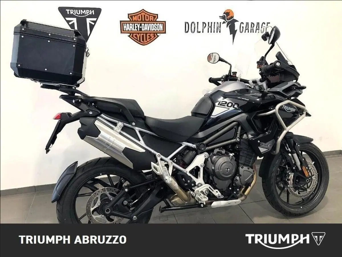 Triumph Tiger 1200 GT Pro (2024 - 26) (8)