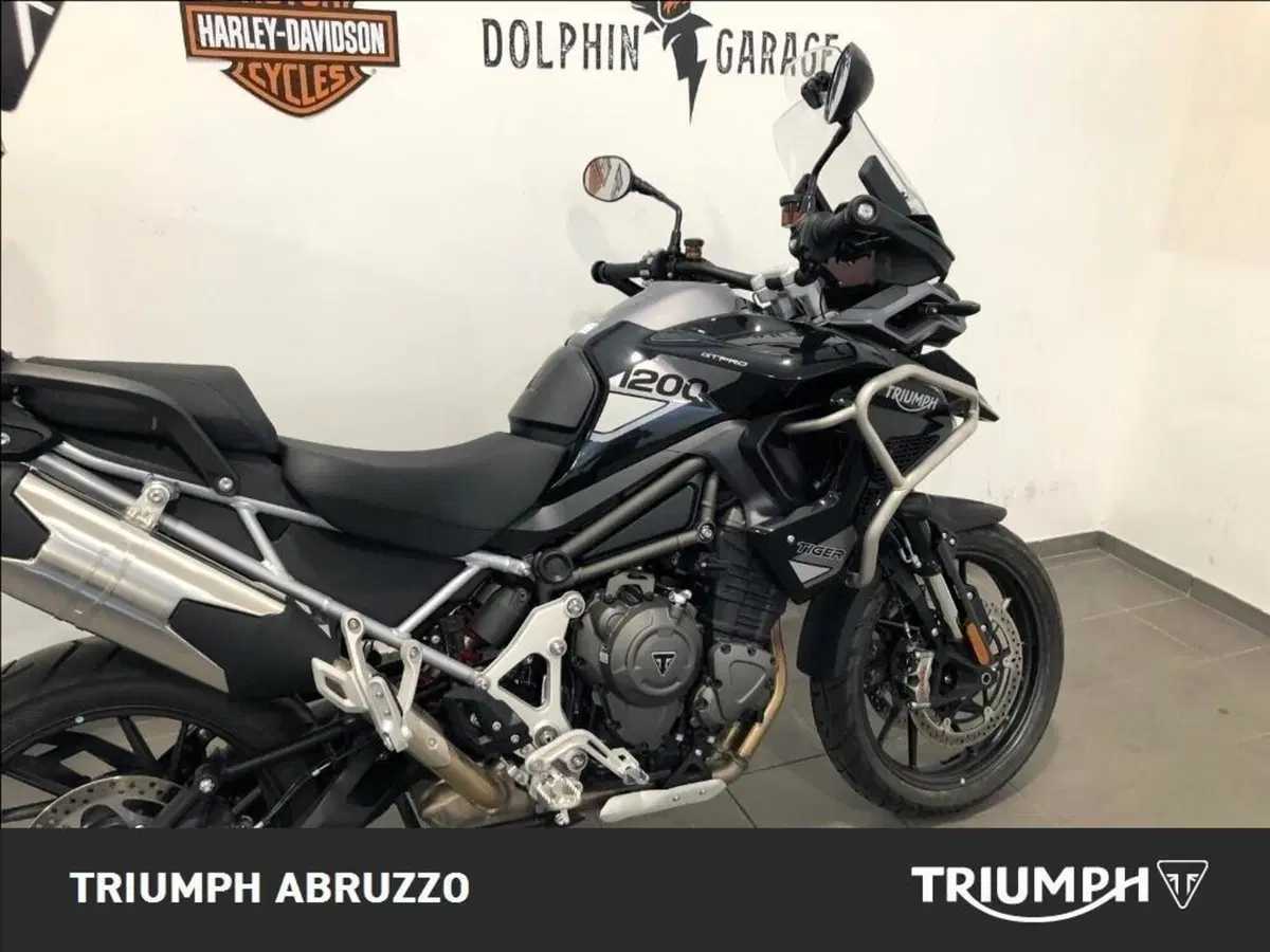 Triumph Tiger 1200 GT Pro (2024 - 26) (4)