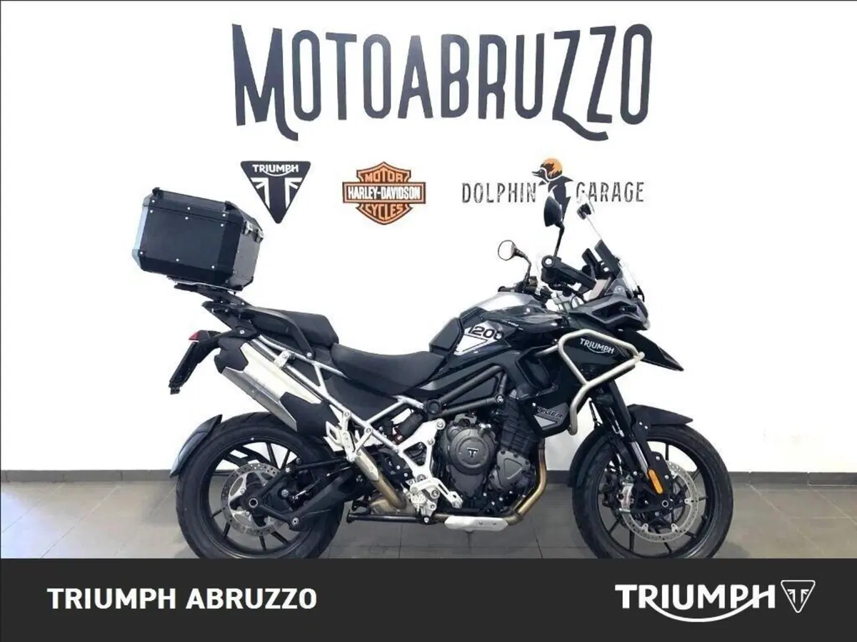 Triumph Tiger 1200 GT Pro (2024 - 26) (10)