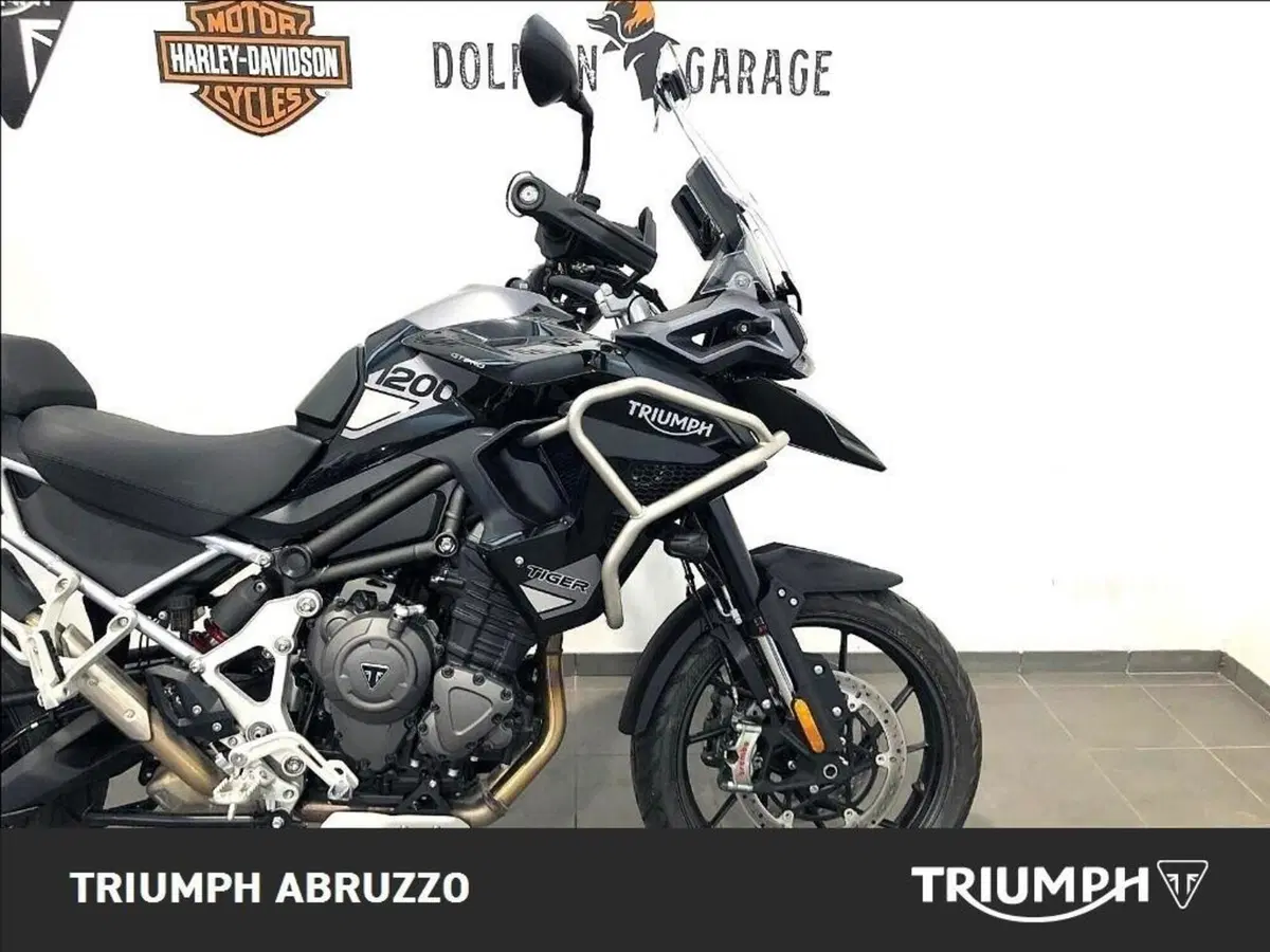 Triumph Tiger 1200 GT Pro (2024 - 26) (11)