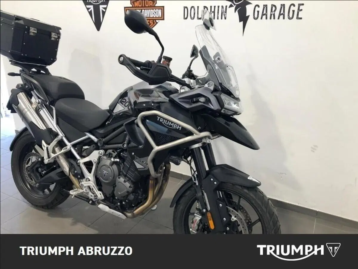 Triumph Tiger 1200 GT Pro (2024 - 26) (5)