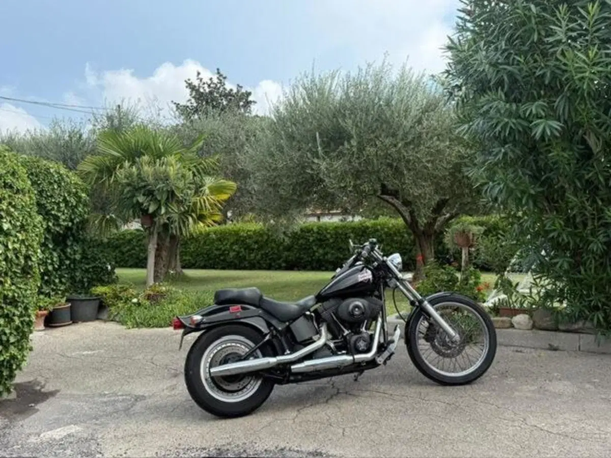 Harley-Davidson 1450 Night Train (1999 - 03) - FXSTB (3)