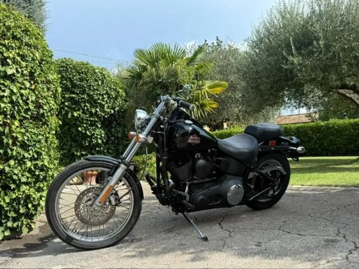 Harley-Davidson 1450 Night Train (1999 - 03) - FXSTB (4)