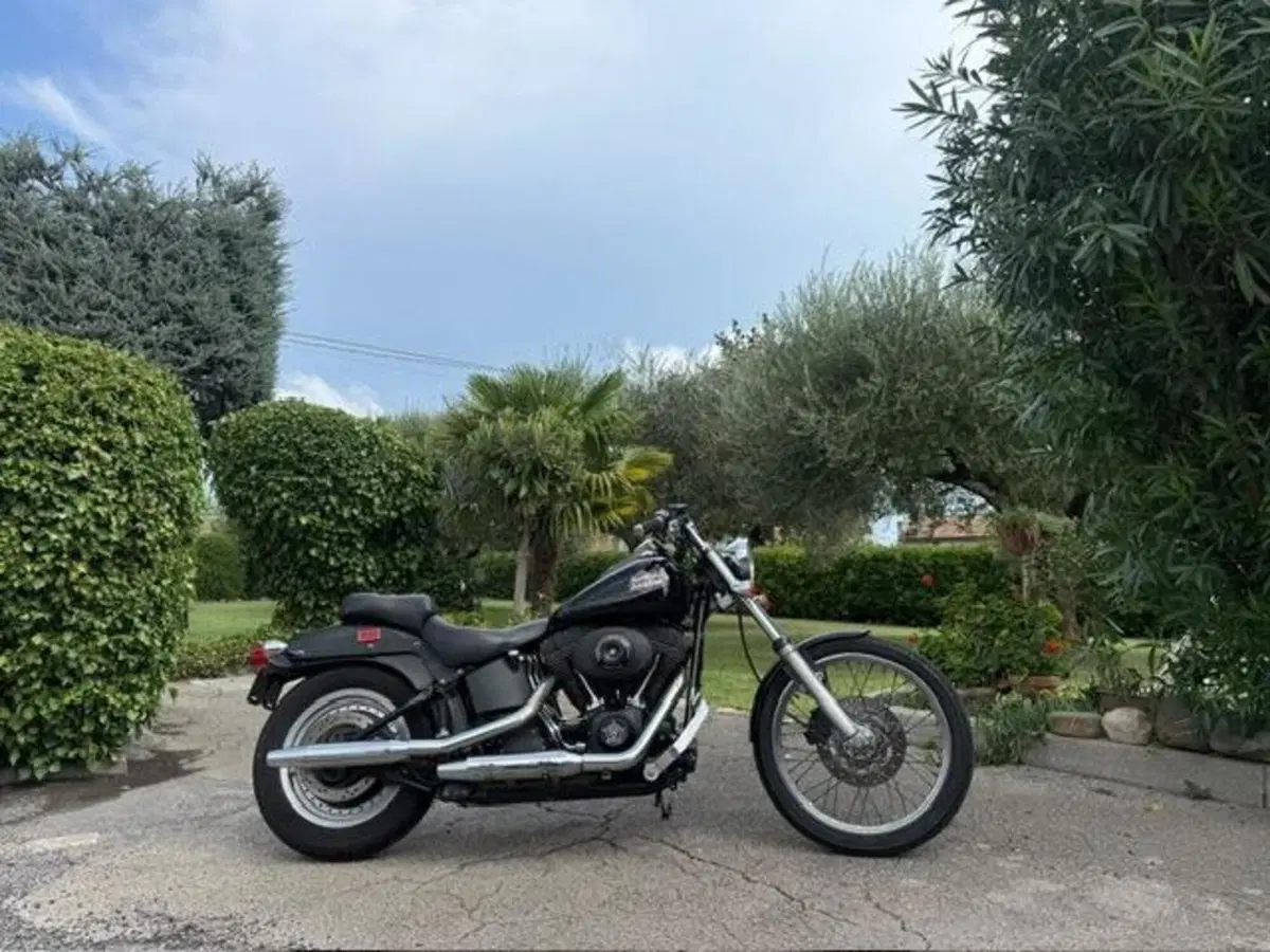 Harley-Davidson 1450 Night Train (1999 - 03) - FXSTB (5)