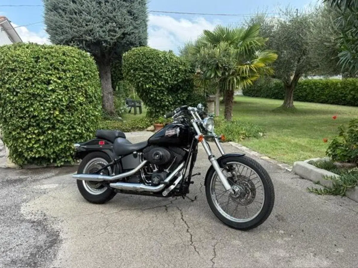 Harley-Davidson 1450 Night Train (1999 - 03) - FXSTB (6)