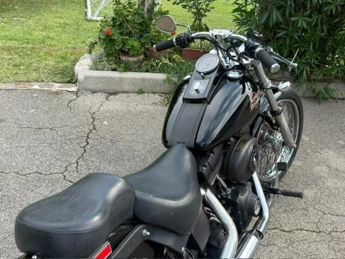 Harley-Davidson 1450 Night Train (1999 - 03) - FXSTB (11)