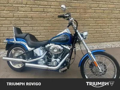 Harley-Davidson 1584 Custom (2007) - FXSTC usata