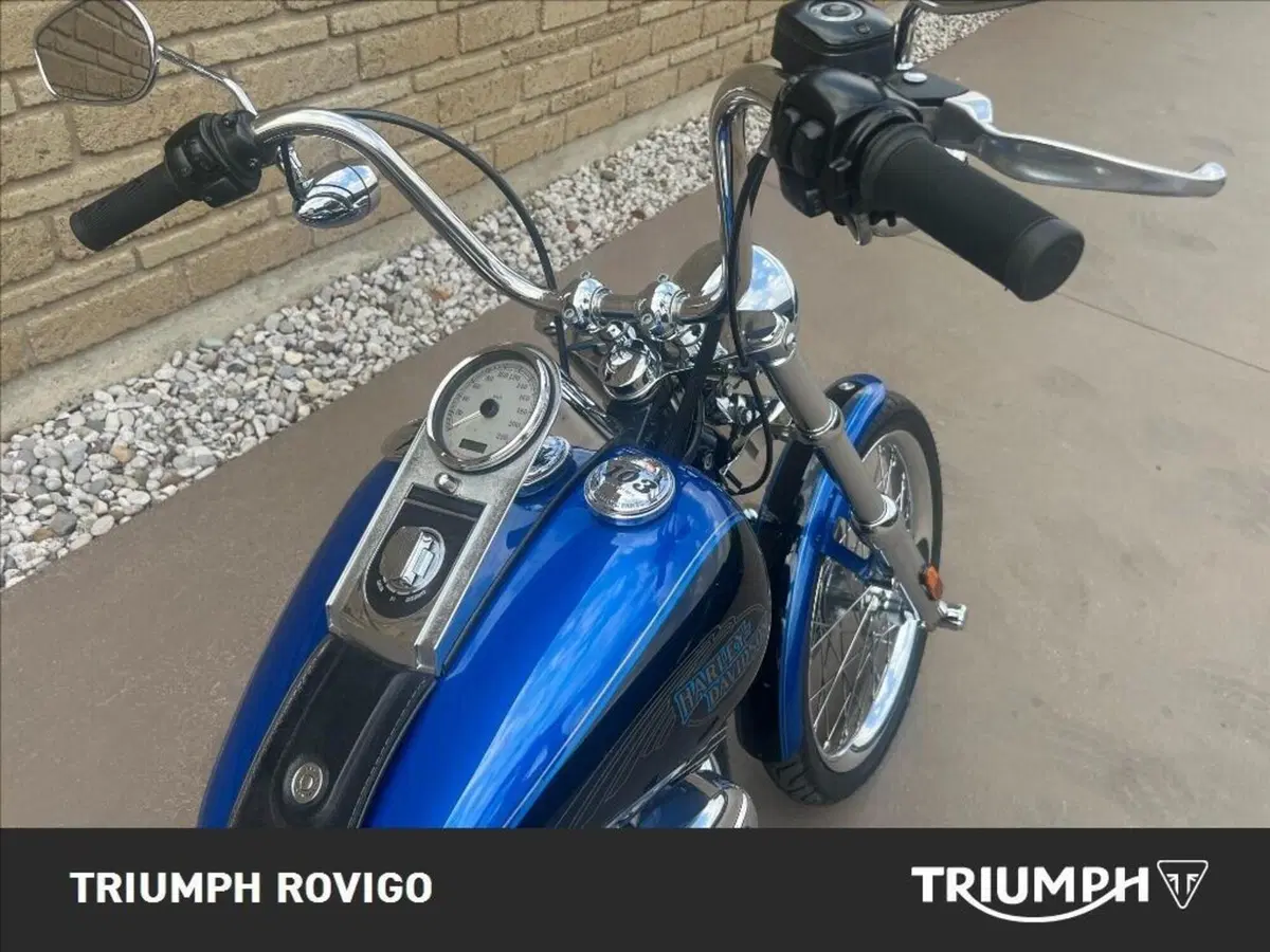 Harley-Davidson 1584 Custom (2007) - FXSTC (3)