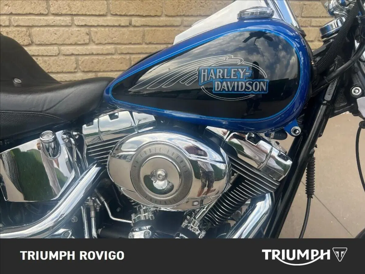 Harley-Davidson 1584 Custom (2007) - FXSTC (7)