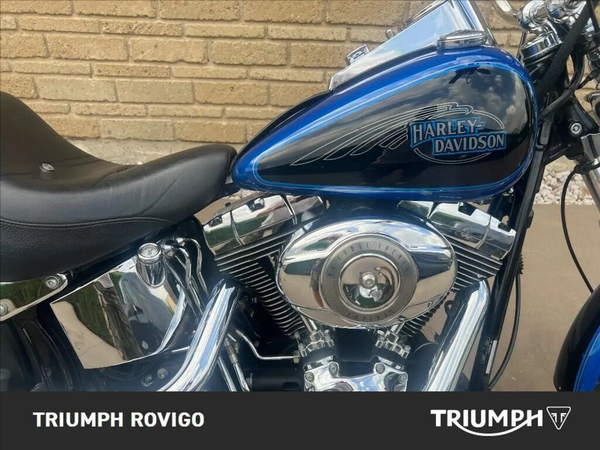 Harley-Davidson 1584 Custom (2007) - FXSTC (5)