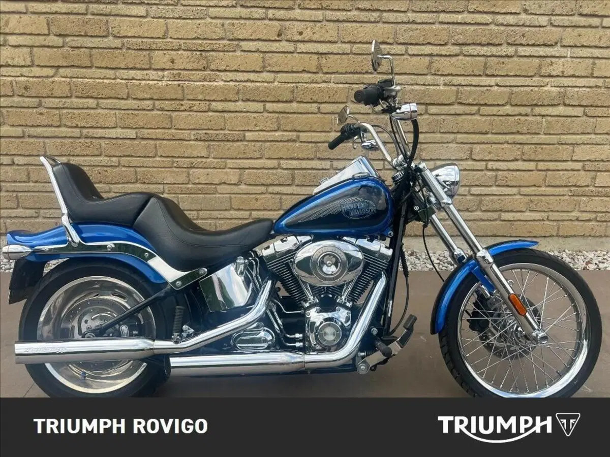 Harley-Davidson 1584 Custom (2007) - FXSTC (2)