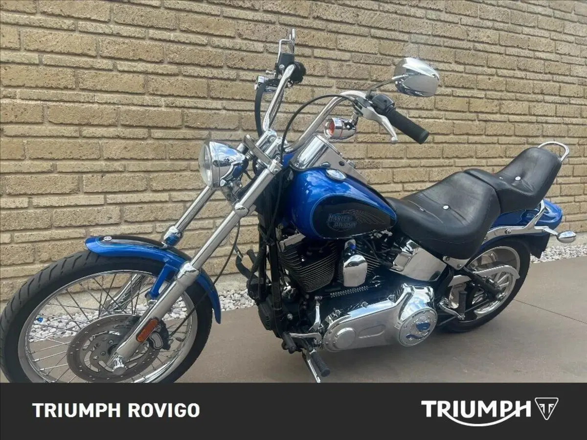 Harley-Davidson 1584 Custom (2007) - FXSTC (8)