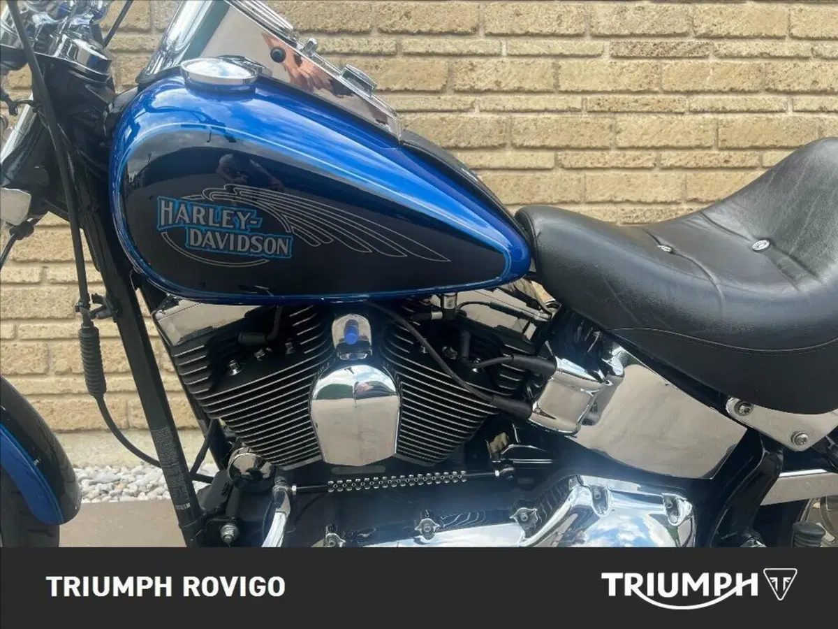 Harley-Davidson 1584 Custom (2007) - FXSTC (10)