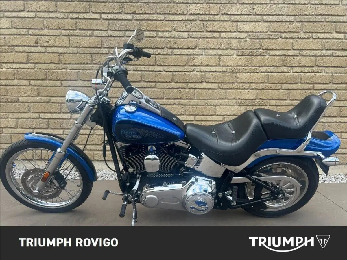 Harley-Davidson 1584 Custom (2007) - FXSTC (11)