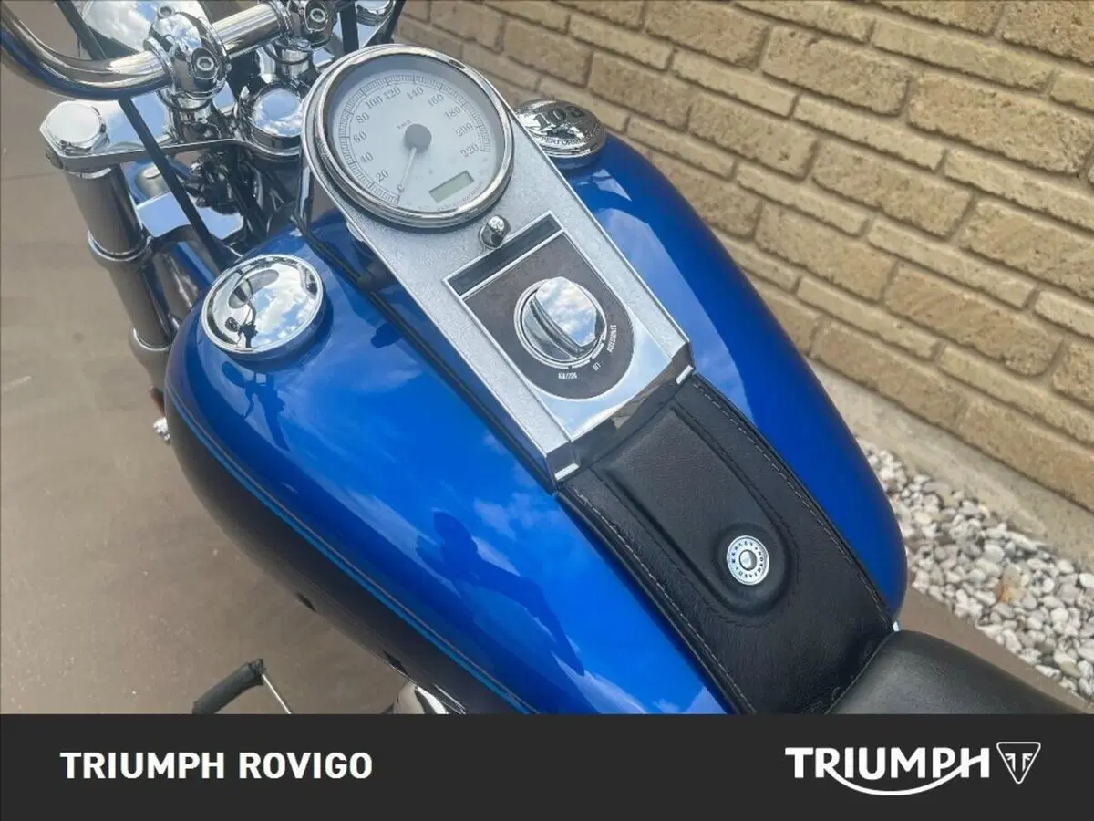 Harley-Davidson 1584 Custom (2007) - FXSTC (12)