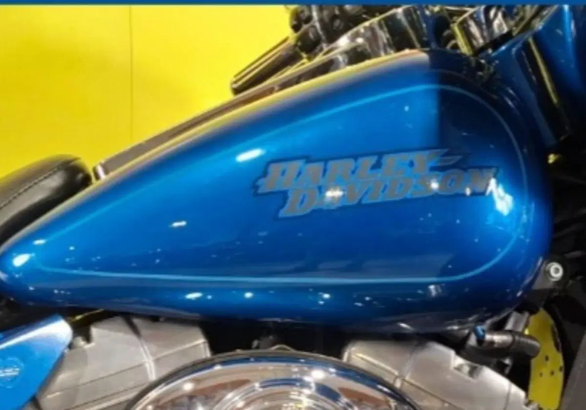 Harley-Davidson 1450 Electra Glide Standard (2002 - 09) - FLHTC (7)