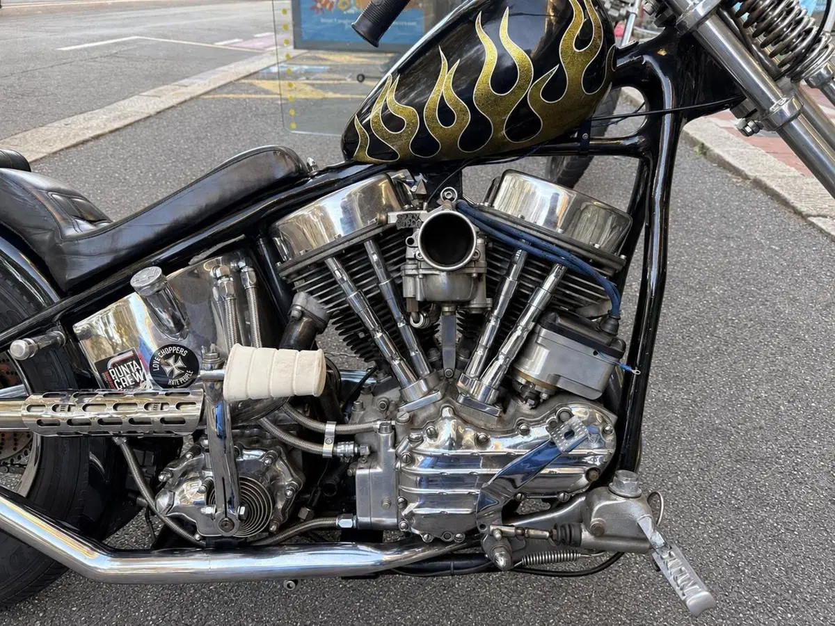 Harley-Davidson Panhead chopper (2)