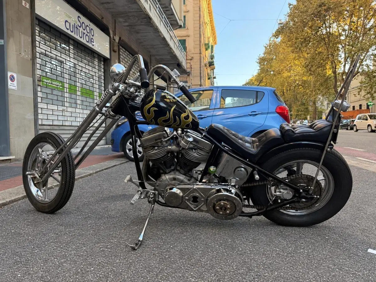 Harley-Davidson Panhead chopper (6)