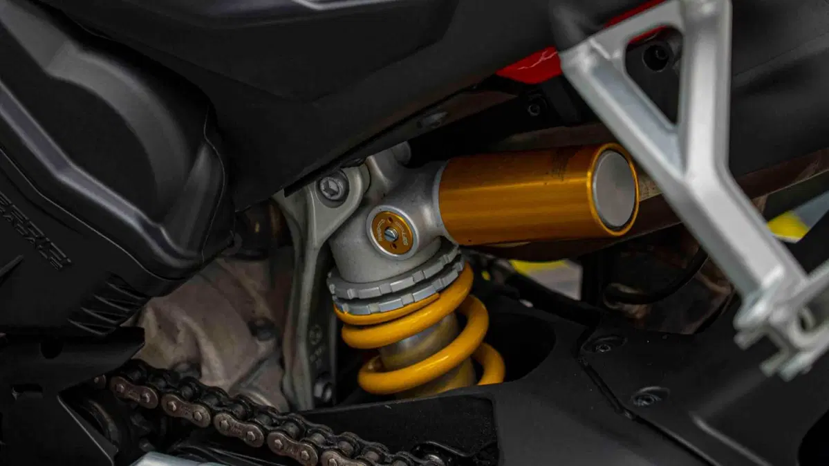 Ducati Panigale V4 1100 (2018 - 19) (16)