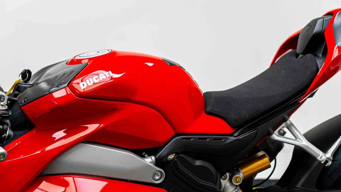 Ducati Panigale V4 1100 (2018 - 19) (19)