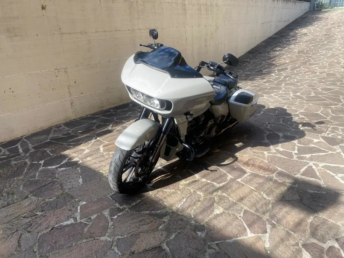 Harley-Davidson 117 Road Glide (2020) (6)