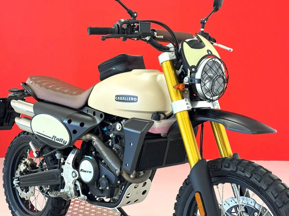 Fantic Motor Caballero 125 Rally (2024) (9)