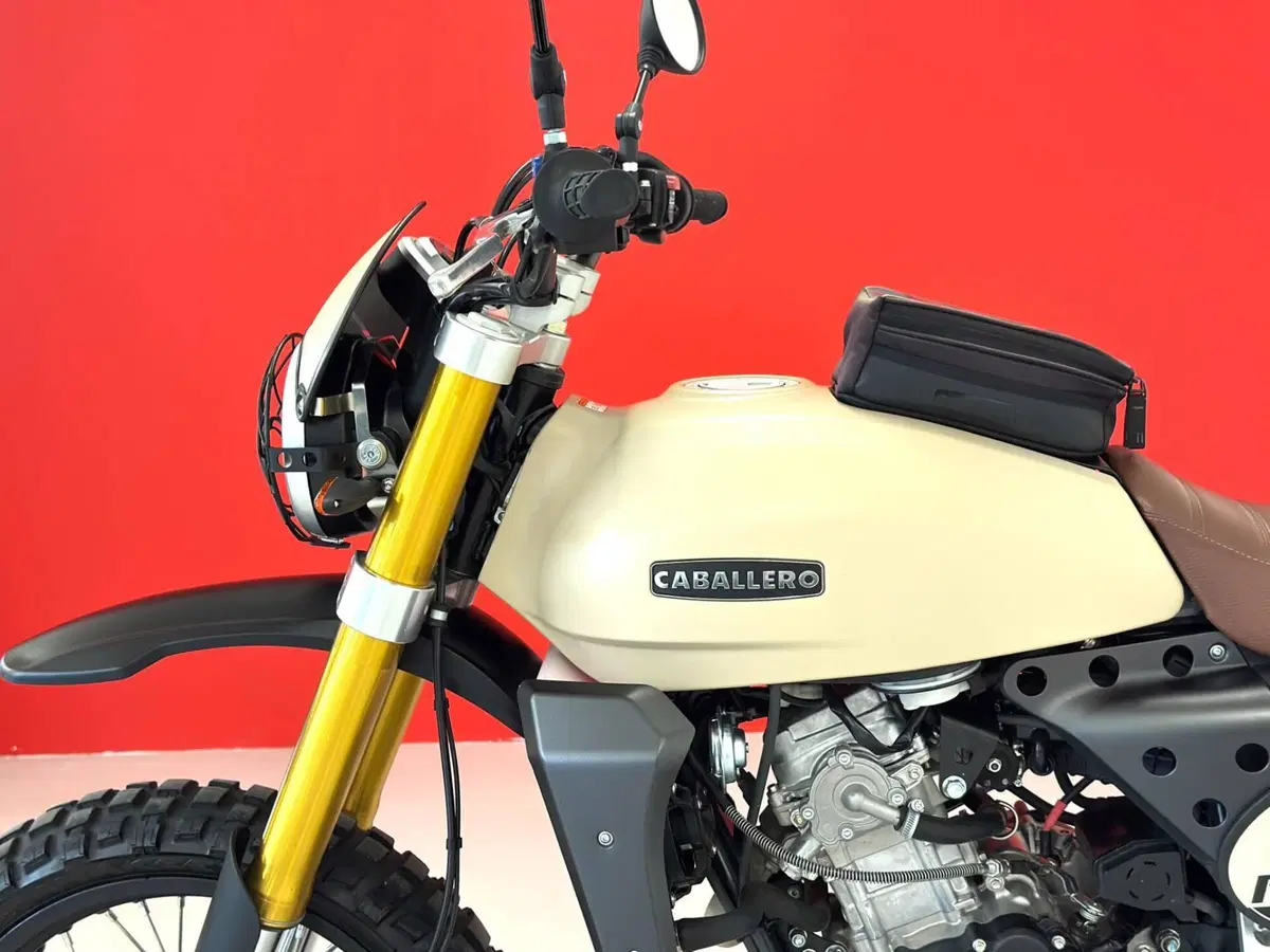 Fantic Motor Caballero 125 Rally (2024) (14)
