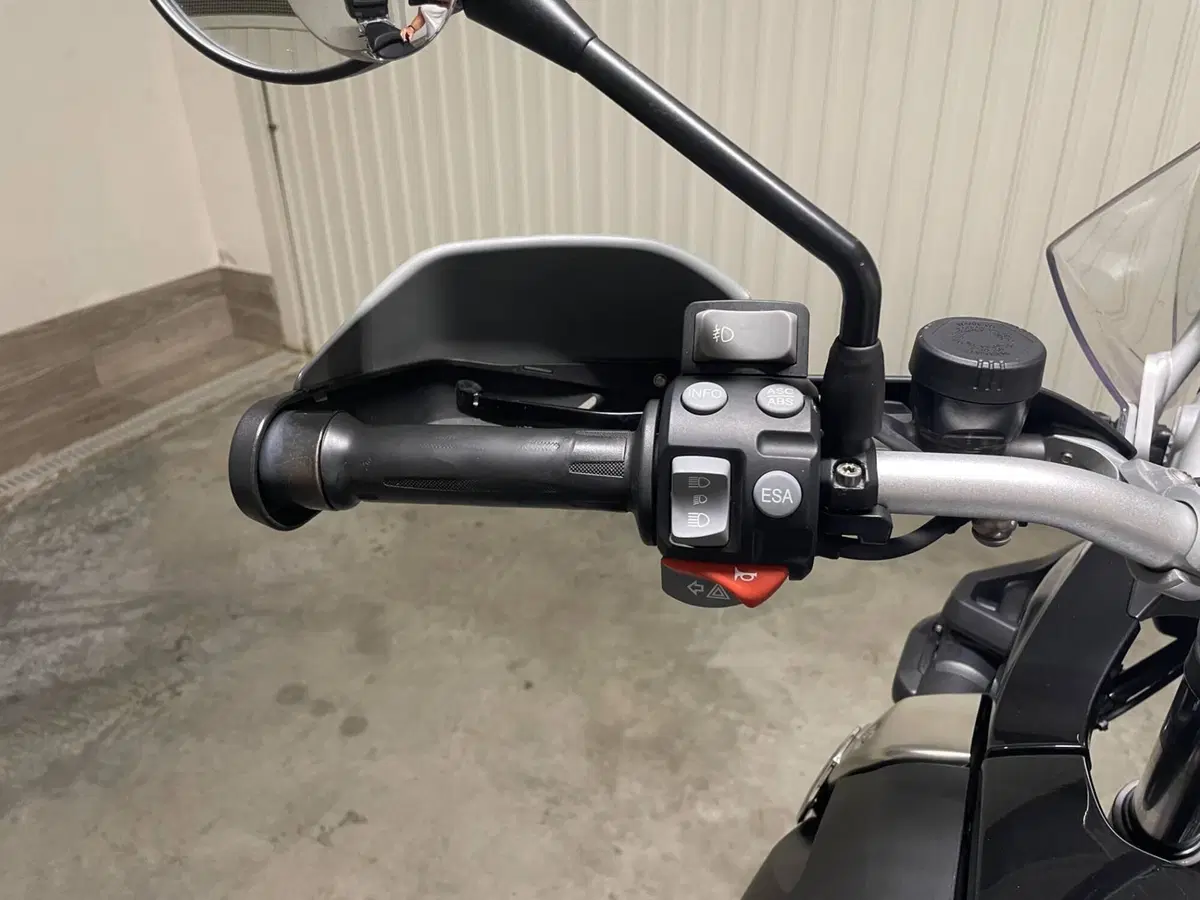 Bmw R 1200 GS (2010 - 12) (4)